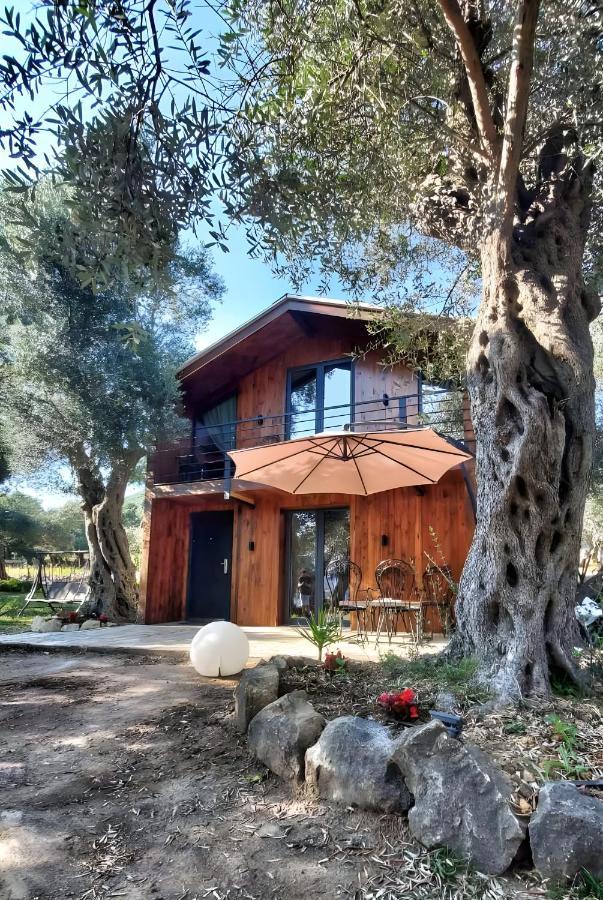Coratina Cottage 울친 외부 사진