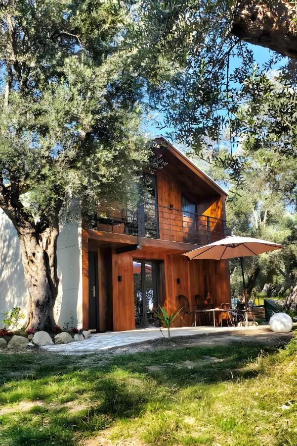 Coratina Cottage 울친 외부 사진